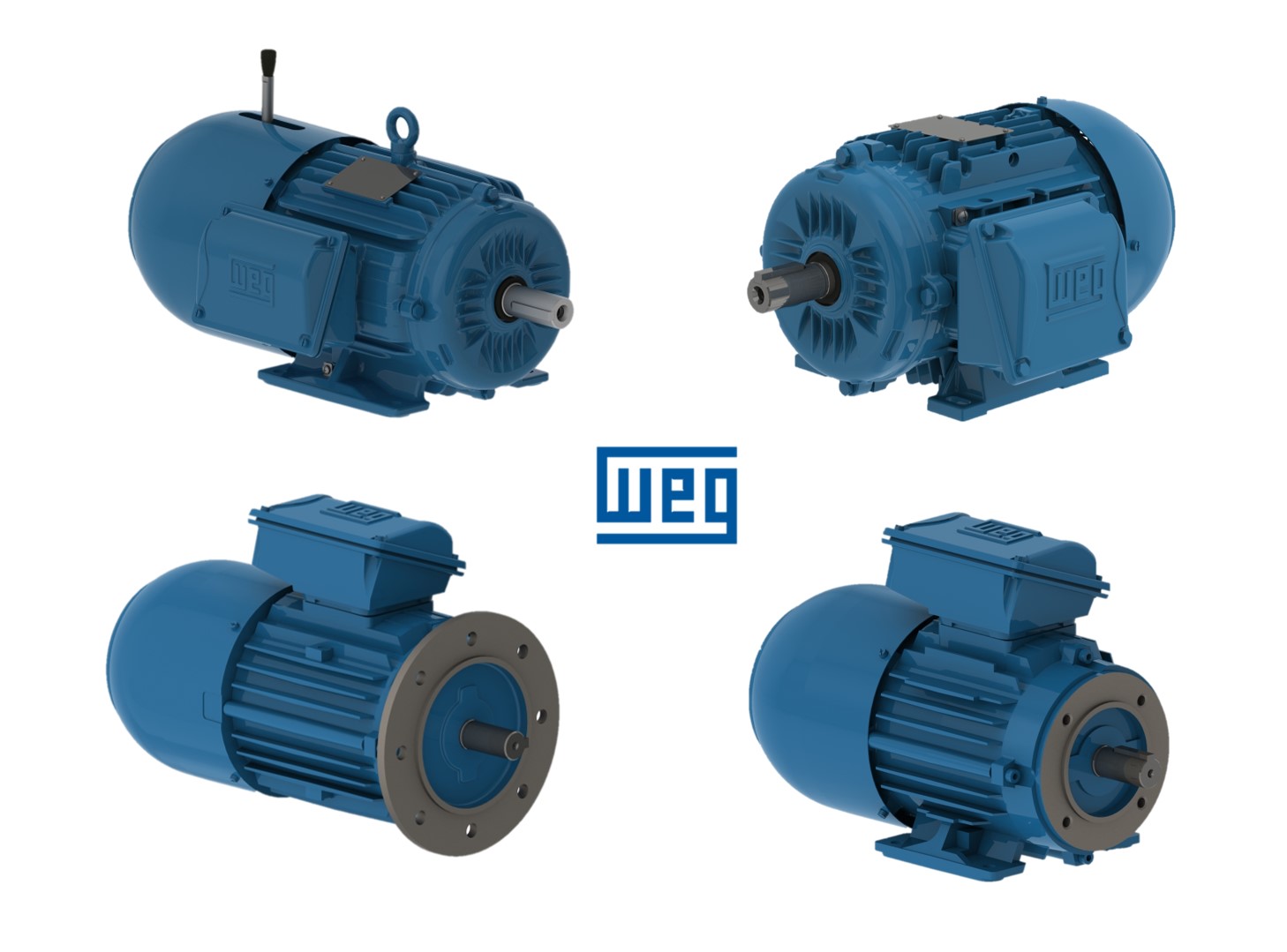 ELECTRIC INDUCTION MOTORS